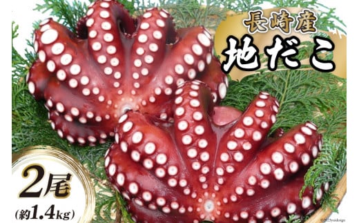 y茧szCB044 Y n2(1.4kg)