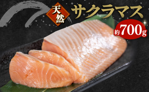 天然 サーモン 約700g サクラマス 冷凍 魚 魚介 骨なし フィレ 鮭 魚介 