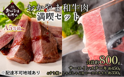 おかやま 和牛肉 A5 等級 満喫セット 合計約800g（サーロインステーキ 約450g＆すき焼・しゃぶしゃぶ用 ローススライス 約350g）牛 赤身  肉 牛肉 冷凍[№5735-1836]