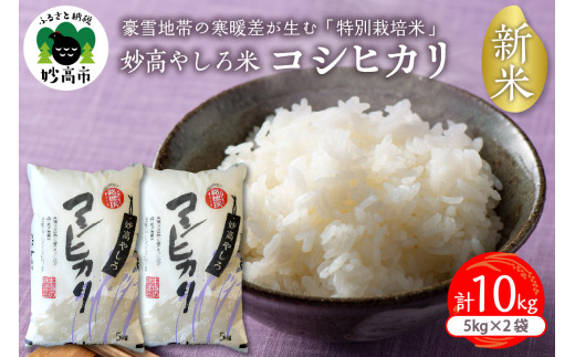 令和5年産　新潟県妙高やしろ米コシヒカリ10kg(5㎏×2袋)
