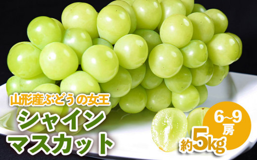 山形産 ぶどうの女王 シャインマスカット 約5kg FY23-540 - 山形県山形