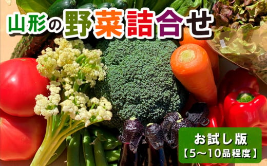 山形の野菜詰合せ お試し版【5～10品程度】 FZ23-563 - 山形県山形市