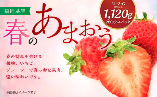 【2024年3月上旬より順次発送】春のあまおう 2L・2A・G規格以上 約280g×4パック 苺 イチゴ あまおう