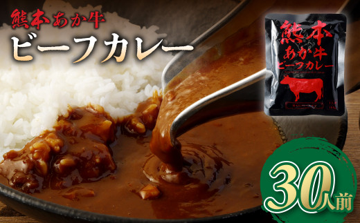 熊本県産 あか牛使用 くまもとあか牛 ビーフカレー 15人前 計2400g