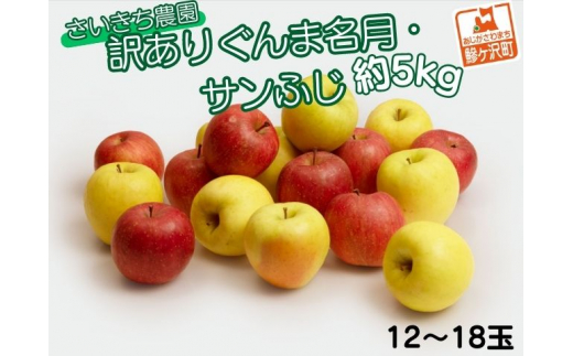 訳あり】さいきち農園のサンふじ・ぐんま名月セット 約5kg(12～18玉