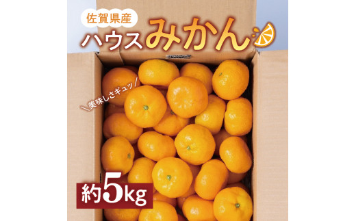 佐賀県産ハウスみかん5kg フルーツ 柑橘類 B387 - 佐賀県伊万里市 ...