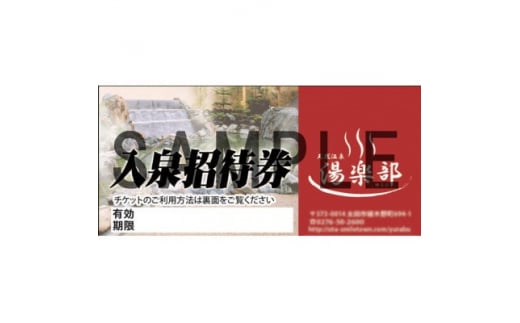 天然温泉湯楽部太田店の入泉招待券 1枚【1416745】 - 群馬県太田市｜ふるさとチョイス - ふるさと納税サイト