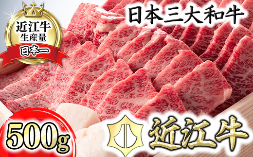 4等級以上】近江牛バラ焼肉希少部位【500g】折箱入り 【H011SM-C