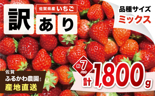 先行予約｜ふるかわ農園】佐賀県小城市産「訳ありイチゴ」1,800g