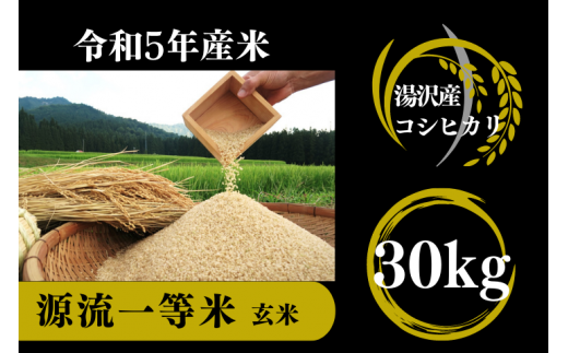 【令和5年産】源流一等米 南魚沼産コシヒカリ 玄米 30㎏ 食味ランキング特A受賞 産地直送 中屋ふぁーむの【湯沢産コシヒカリ】