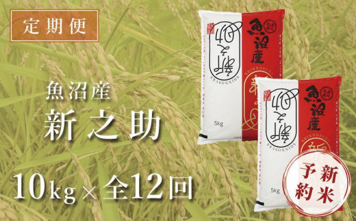 ＜令和5年産新米＞【定期便】中魚沼産「新之助(しんのすけ)」10kg×全12回（12ヶ月連続お届け）