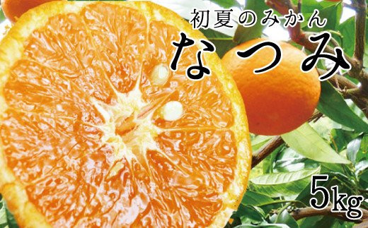 初夏のみかん　なつみ5kg【予約】※2024年4月中頃に順次発送予定(お届け日指定不可)