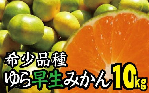 先行予約】由良早生 みかん 家庭用 10kg / ゆら早生 温州みかん 極早生