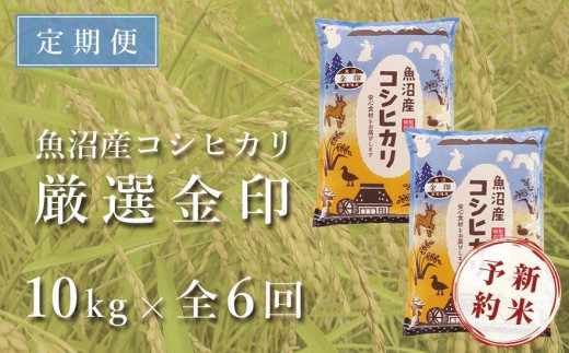 ＜令和5年産新米＞【定期便】魚沼産コシヒカリ「金印」高食味米 10kg×全6回（6ヶ月連続お届け）