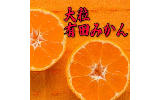 迫力満点 大粒 有田みかん 約7.5kg 2023年11月中旬～2024年1月中旬-