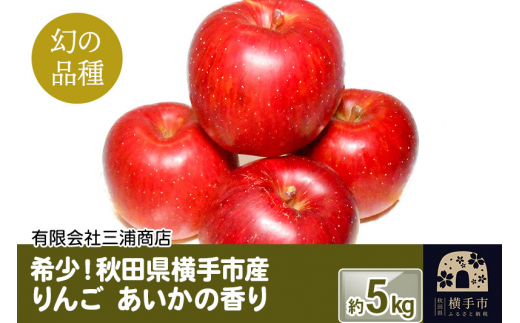 希少！幻の品種！秋田県横手産 りんご あいかの香り 約5kg - 秋田県