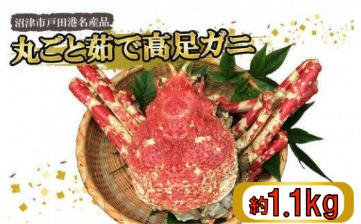 蟹 タカアシガニ 名産 丸ごと 茹で高足ガニ 約1.1kg かに 沼津市 戸田