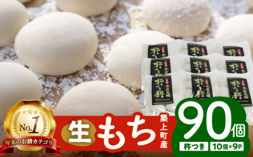 お歳暮対象】【順次発送】築上町産 本格 杵つき 生もち 60個 (10個×6