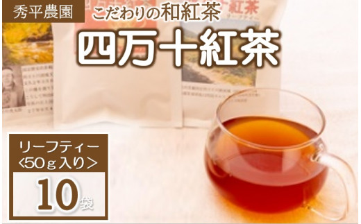 四万十紅茶〈リーフティー〉50g×10袋【1333422】 - 高知県津野町