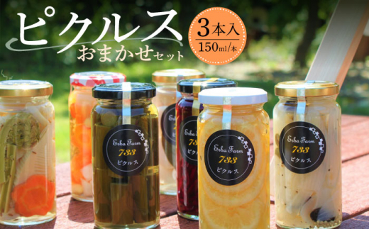 お歳暮対象】【農家のこだわり野菜使用】おまかせ ピクルス 3本《築上