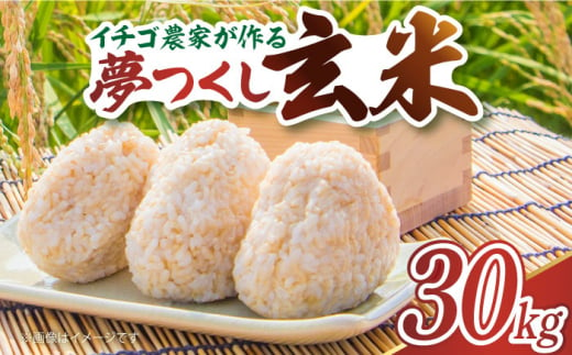 令和5年産】イチゴ農家がつくる お米 「 夢つくし 玄米 」 30kg《築上町》【エースいちご株式会社】 [ABAG007] 41000円 4万1千円  - 福岡県築上町｜ふるさとチョイス - ふるさと納税サイト