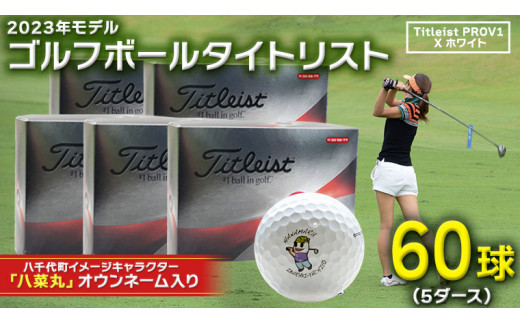 2023年9月30日まで 】 ゴルフボール タイトリスト PROV1X ホワイト 5 ...