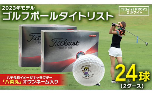 2023年9月30日まで 】 ゴルフボール タイトリスト PROV1X ホワイト 2ダース ( 24球 ) 八菜丸 プロV1x Titleist  ゴルフ ボール 期間限定 スポーツ [BW019ya] - 茨城県八千代町｜ふるさとチョイス - ふるさと納税サイト