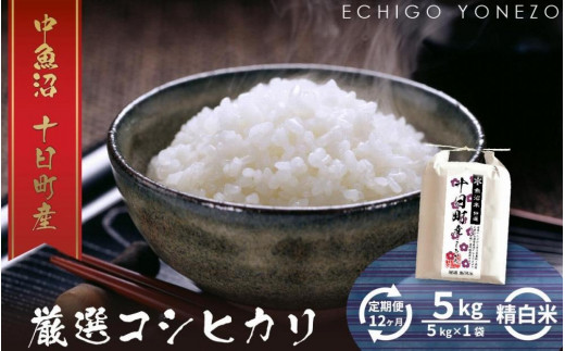 魅力的な 新米 コシヒカリ 180g 茨城 訳あり B級品 中間米 ruri