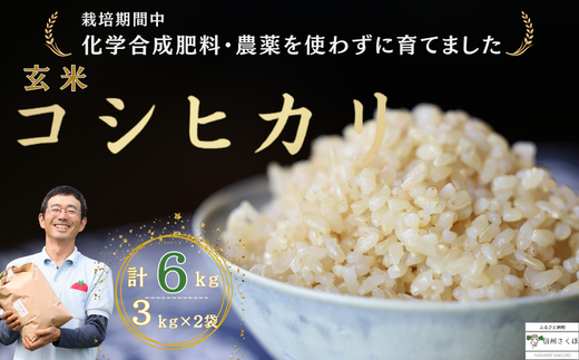 令和6年産 炊きあがりのつやと香りが良く、うま味も強い コシヒカリ 玄米６kg 佐久穂とさや農園〔ST-B3-2〕 -  長野県佐久穂町｜ふるさとチョイス - ふるさと納税サイト