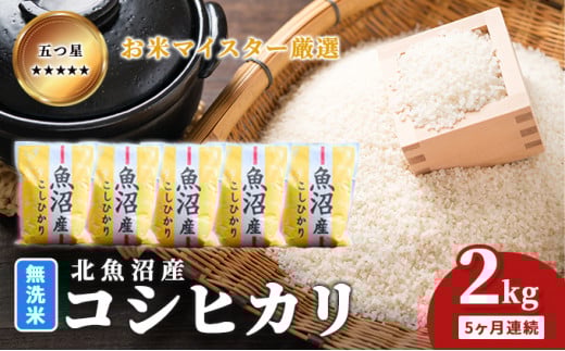 yVsz[5762-1051]܂ă}CX^[I ĖkYRVqJ 2kg 5A   aH uh  ɂ ٓ Yn Ă