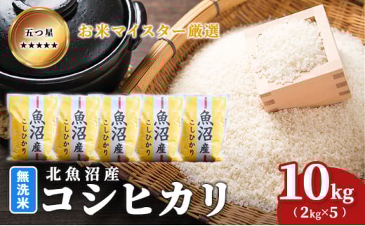 yVsz[5762-1050]ߘa7NY܂ă}CX^[I ĖkYRVqJ 10kgi2kg×5j   aH uh  ɂ ٓ Yn Ă