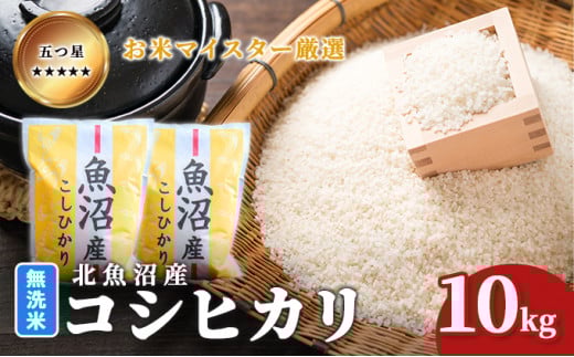 yVsz[5762-1047]ߘa7NY ܂ă}CX^[I ĖkYRVqJ 10kg   aH uh  ɂ ٓ Yn Ă