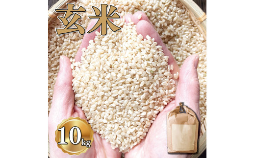 玄米 10kg にこまる お米 栽培期間中農薬不使用 安心 安全 こだわり