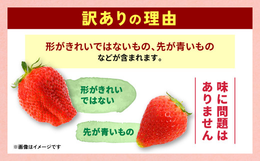 2024年3月発送開始】 【訳あり】 熊本県産 いちご 合計 2kg (250g×8