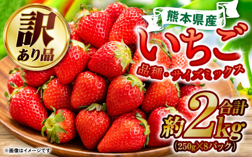 2024年3月発送開始】 【訳あり】 熊本県産 いちご 合計 2kg (250g×8