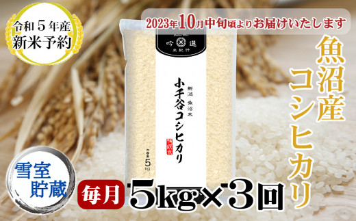 販売ストア激安 【ふるさと納税】 信州立科町産コシヒカリ(2kg×6回発送