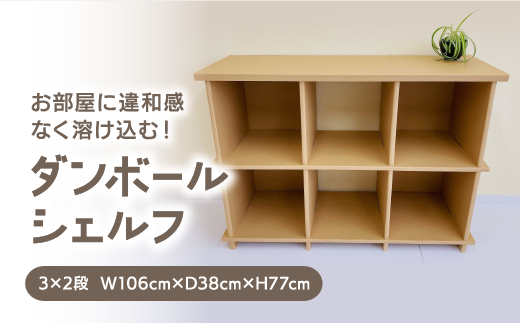 ダンボールシェルフ 055-02【2段 オープンシェルフ 収納 棚 本棚 小物 簡単設置 組み立て式 家具】