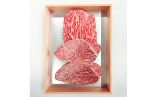 yꌧߍ]szyՊρzqiVg[uAj2260g ɏT[C1160gy①zyFR18W1z