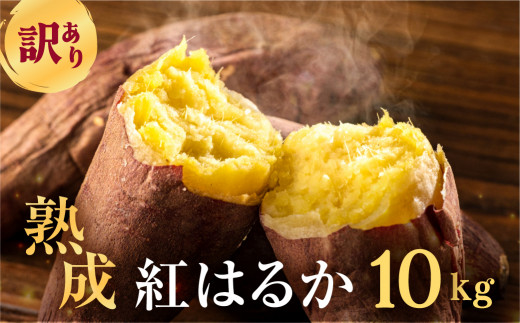 ymcszs\ 󂠂 ܂ 10kg  TCYI g͂邩 cs 
