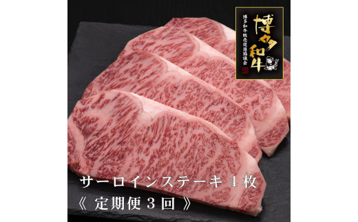 ysz(S3)yA5`4zaT[CXe[L 200g×4