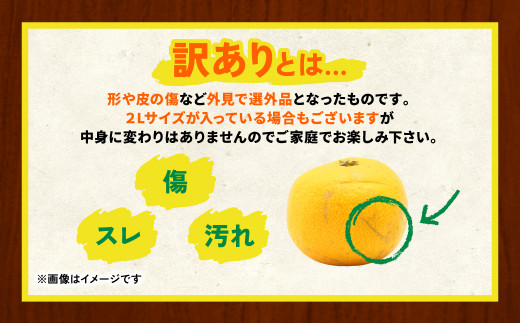 2023年12月発送】【訳あり】みかん5kg 熊本県産 訳あり 柑橘 ミカン