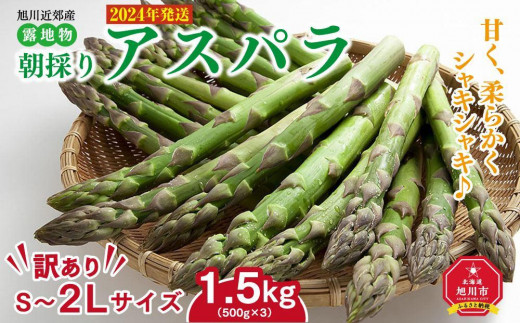 先行予約】【訳あり】露地物朝採りアスパラ 1.5kg（500g×3）鮮度保持