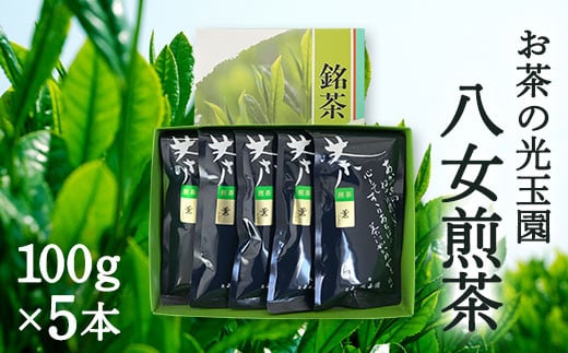 【お茶の光玉園】八女煎茶 100g×5本セット