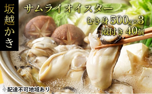 牡蠣 生食 坂越かき むき身 500g×3、 殻付き 40個(牡蠣ナイフ・軍手