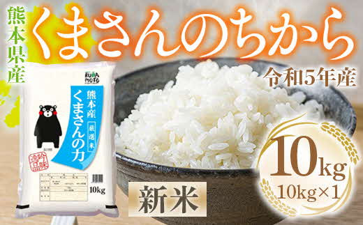 1480 令和5年度産新米☆ 熊本県産くまさんの力 １0ｋｇ - 熊本県長洲町