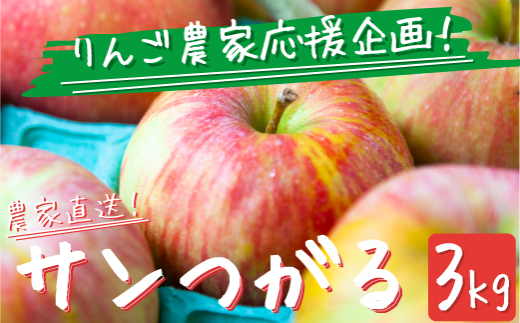 農家応援企画／ 【令和6年度先行予約返礼品】 りんご サンつがる 家庭