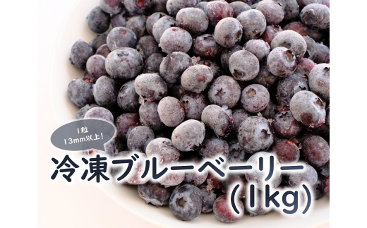 冷凍 ブルーベリー※2023年7月中旬～順次発送 - 福島県磐梯町｜ふるさと