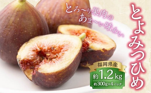 福岡県産 無花果・とよみつひめ 約300g×4パック 計1.2kg いちじく イチジク 無花果 プレミアム 果物 くだもの フルーツ  【2024年8月上旬～10月上旬発送予定】 - 福岡県岡垣町｜ふるさとチョイス - ふるさと納税サイト