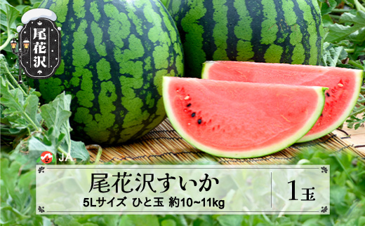 尾花沢すいか 5Lサイズ(約10～11㎏)×1玉 7月下旬～8月10日頃発送 令和5