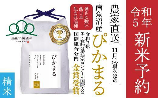 新米予約【令和5年産】精米5kg 南魚沼産ぴかまる・国際総合部門金賞